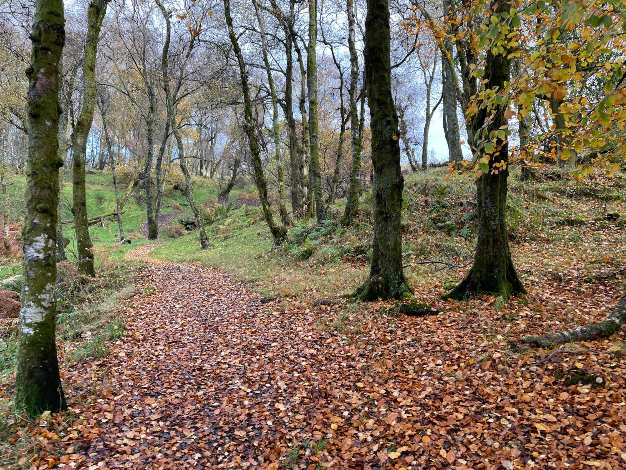 The John Muir - Beautiful 1 Bed Apartment In Helensburgh Bagian luar foto